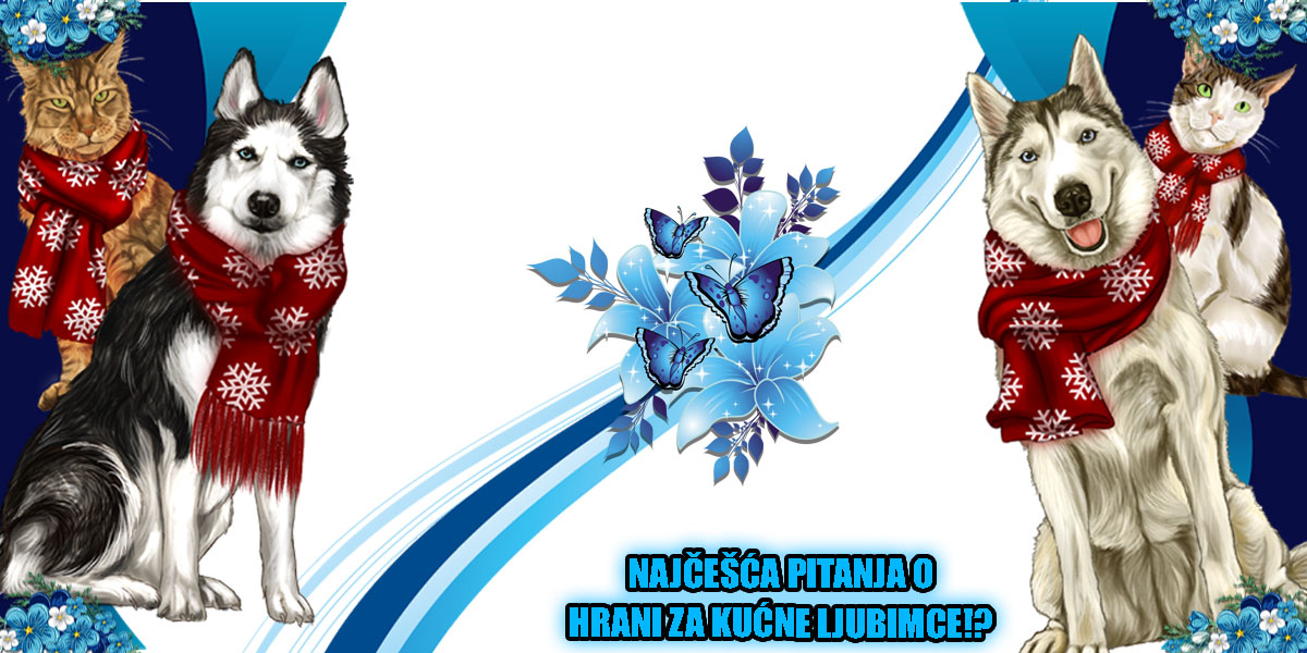 Hrana za pse i mačke, 4 najčešća pitanja...