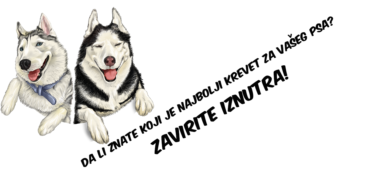 Kreveti za pse, koji je najbolji za vašeg ljubimca? Zavirite iznutra!