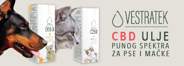 Full Spectrum CBD ulje za pse, beneficije za Vašeg psa?!
