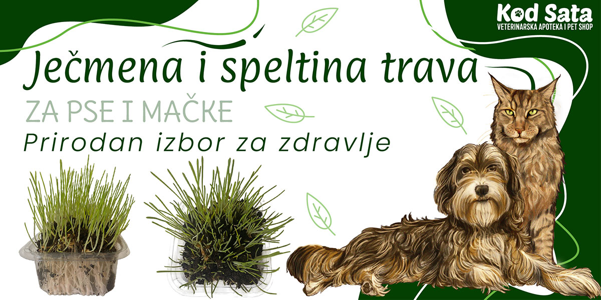 Ječmena i speltina trava za pse i mačke - Prirodan izbor za zdravlje