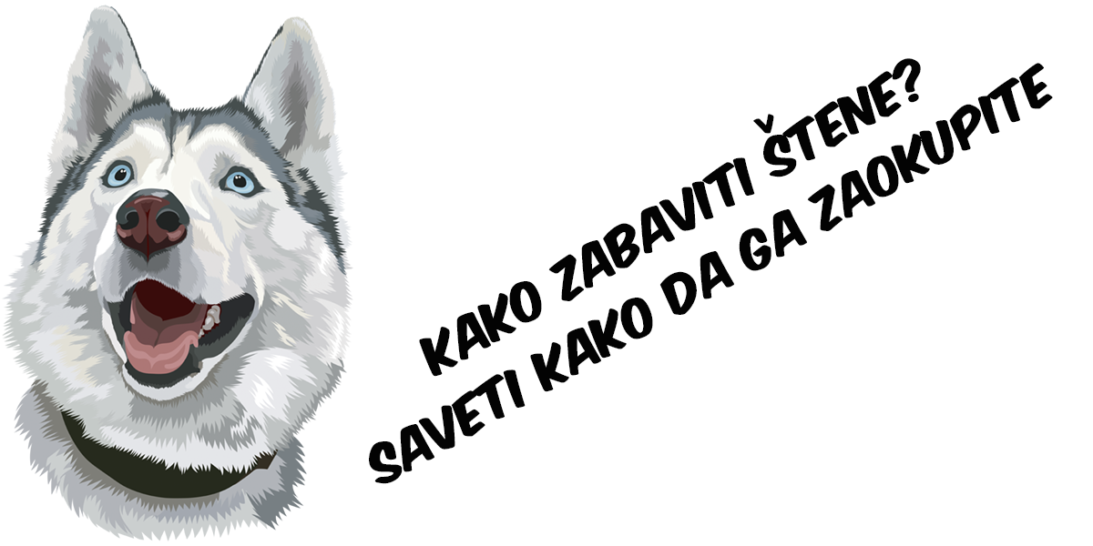 Kako zabaviti svoje štene: Saveti kako da ga zaokupite