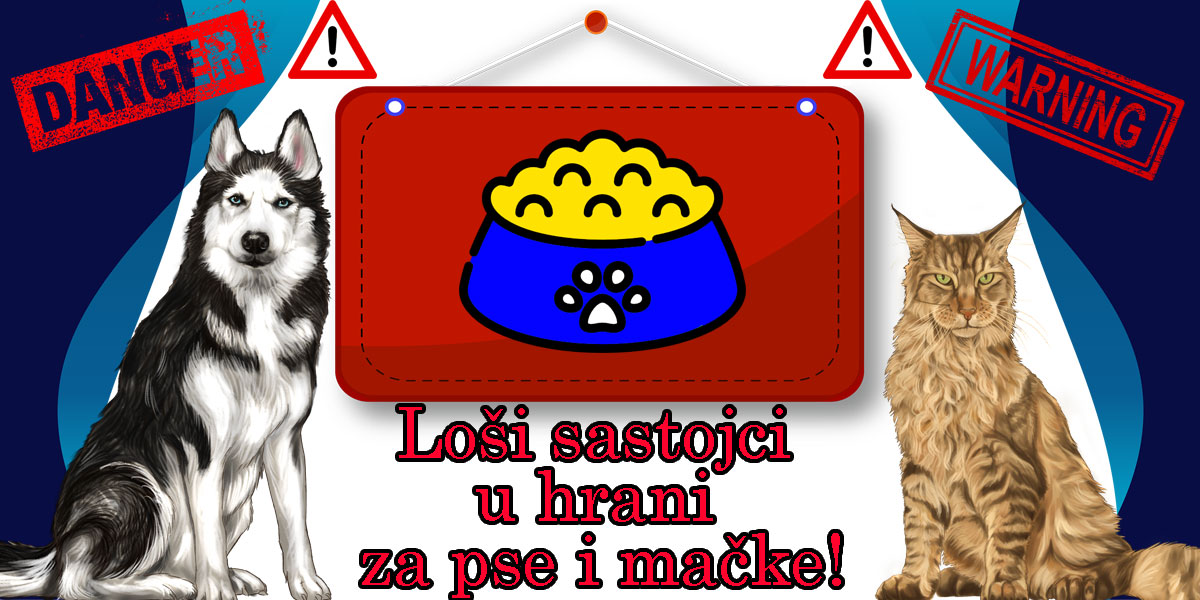 Hrana za pse i mačke, loši sastojci ju njoj...
