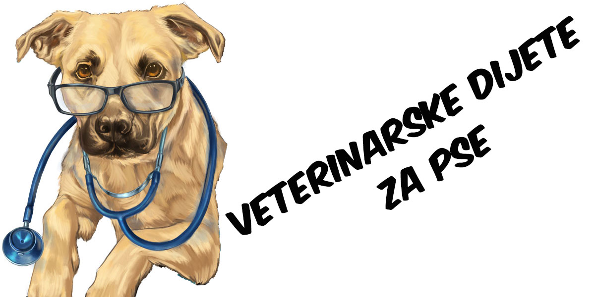 Veterinarske dijete za pse