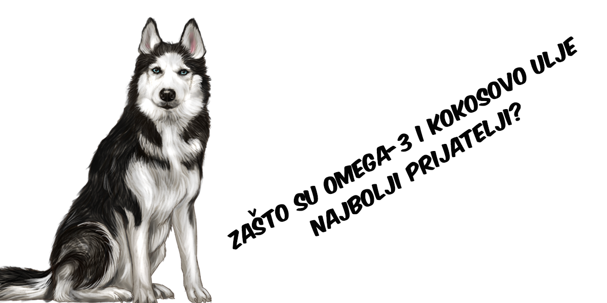 Zašto su lososovo i kokosovo ulje najbolji prijatelji?