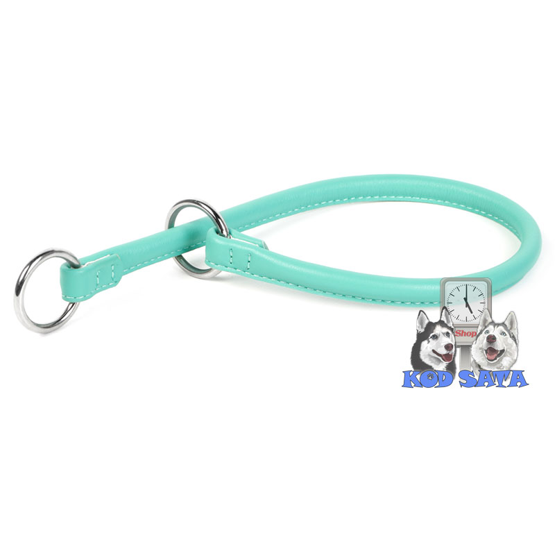 Collar Kožne Davilice Za Pse, Mint