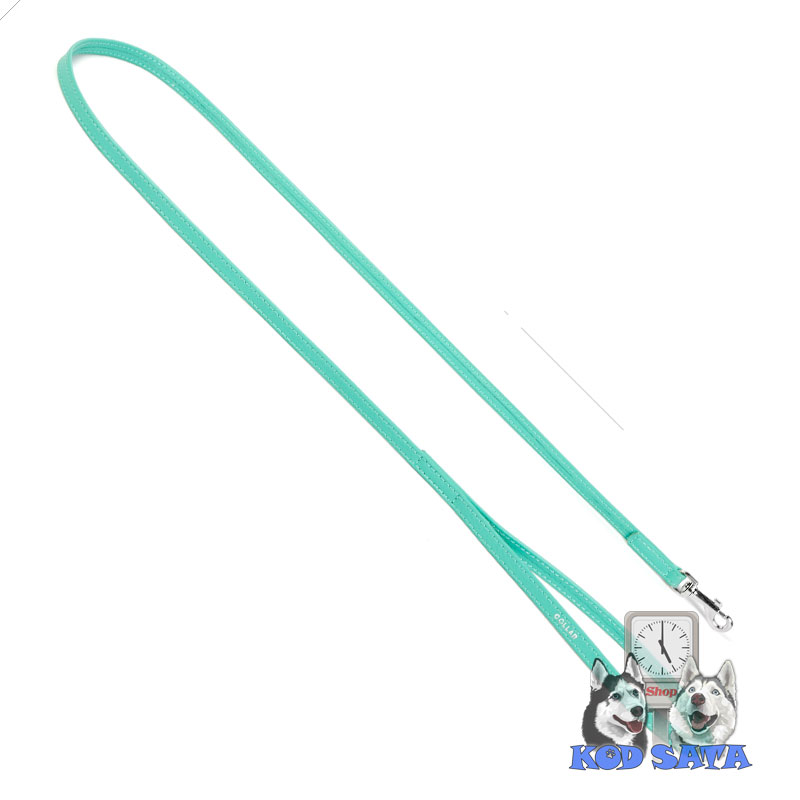 Collar Kožni Povodac Za Pse, Mint 122cm