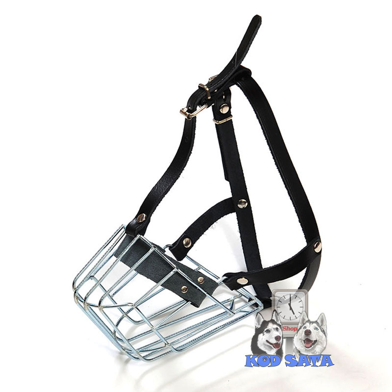 Iguana Metalne Korpe Za Pse