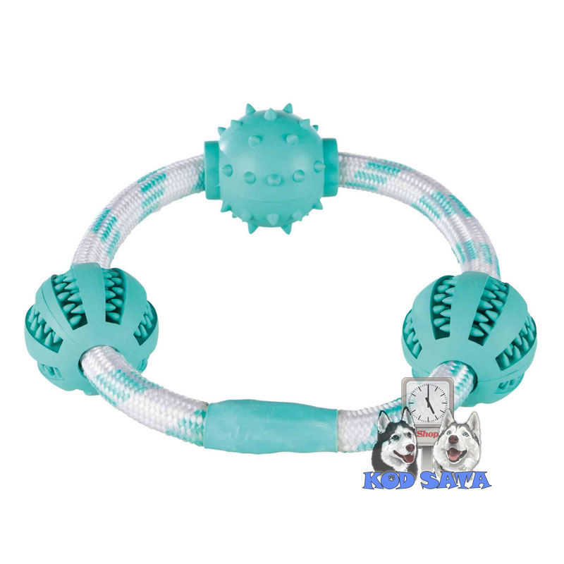 Trixie Denta Fun Kanap Sa Loptama 